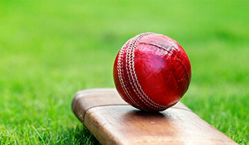 Hvordan adskiller cricket sig fra andre holdspil?