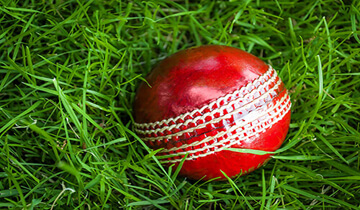 What is the weight of cricket ball